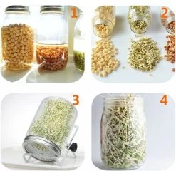 4 Stainless Steel Home Germination Jar Lids For Large Mouth Mason Jars -Kitchen Appliance Store 68107579 4